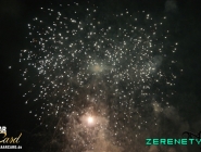 204784