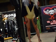 DSC_6618